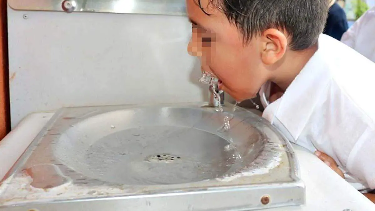 bebedero de agua en La Paz